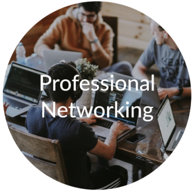 professional networking professional networking