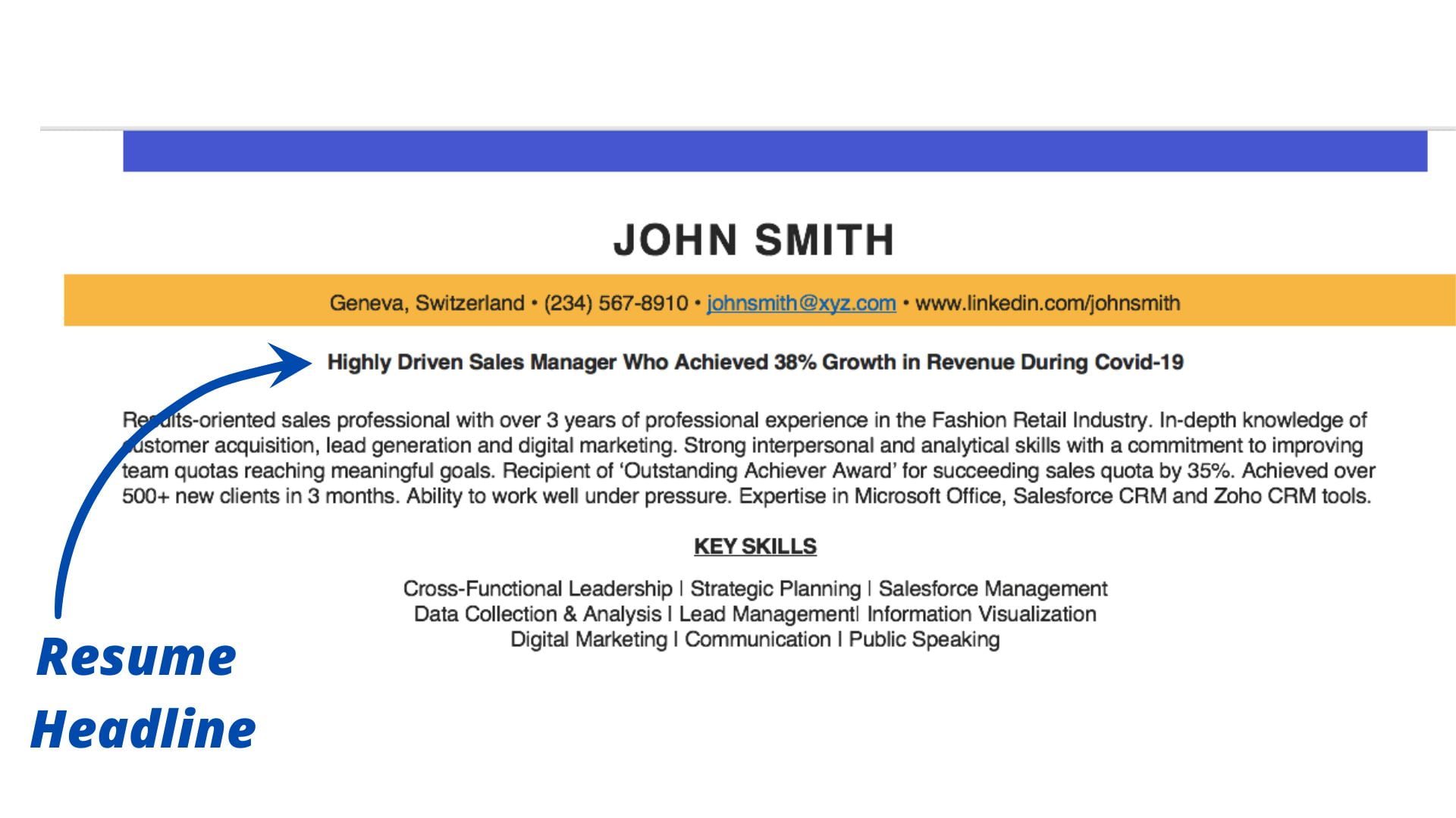 examples of headline on resume