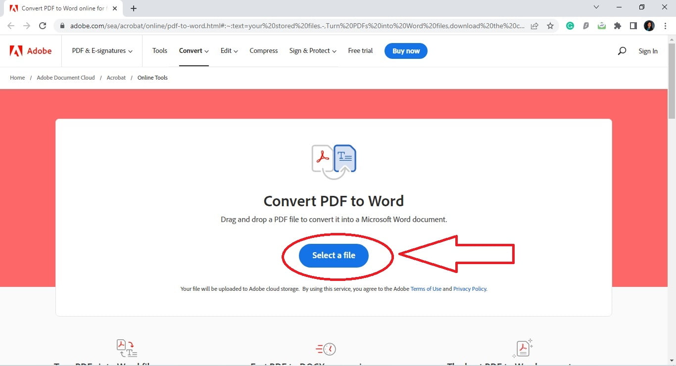 Downloading Resume in Word Step 2